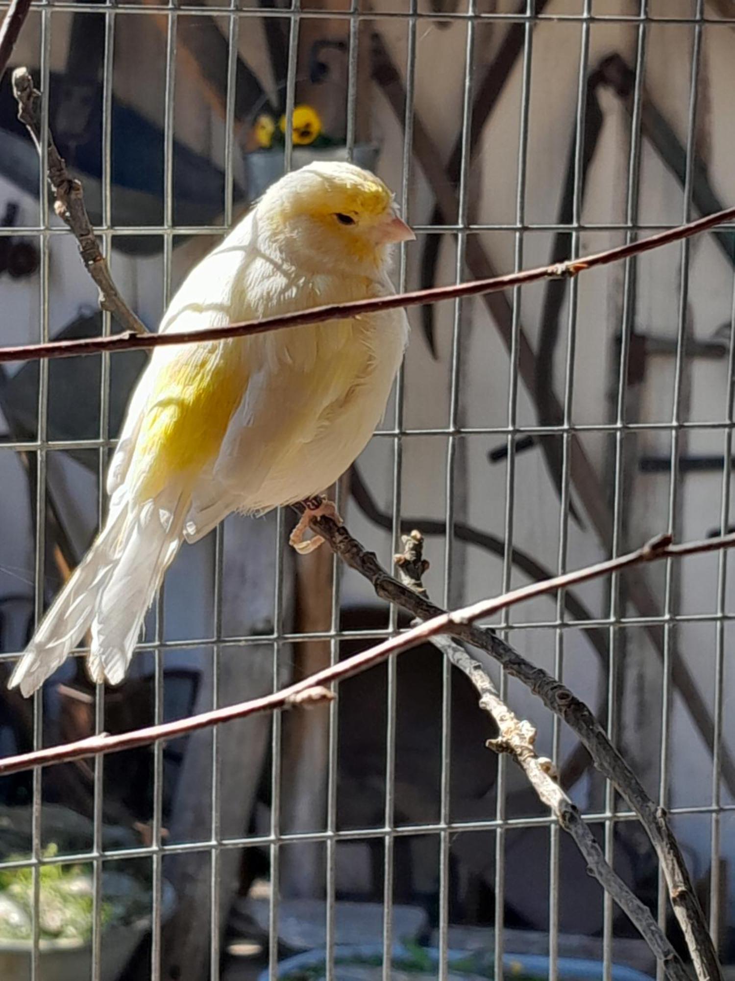 Pokoje Goscinne Skalnik - Agroturystyka Kostrzyn nad Odra Luaran gambar
