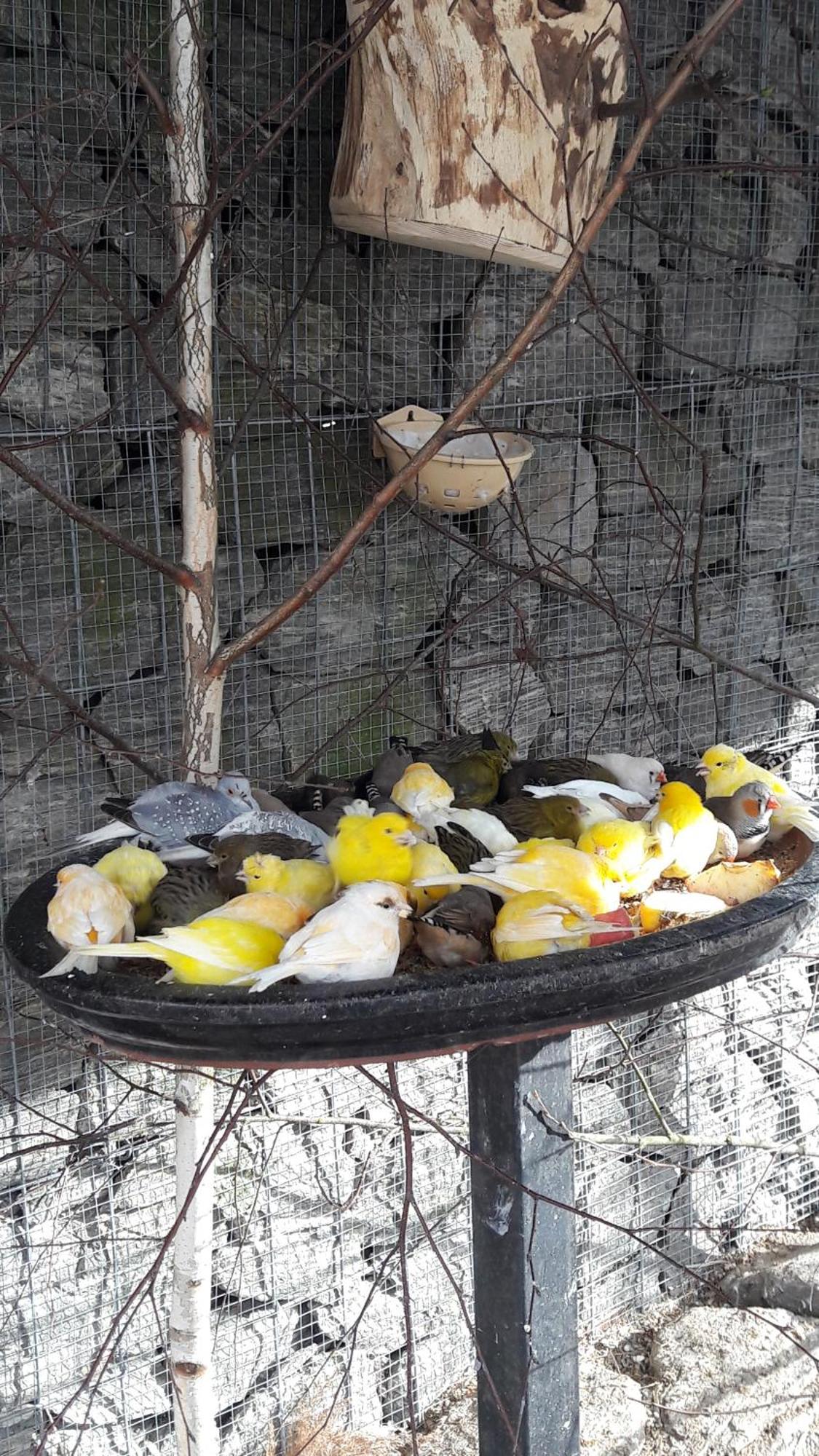 Pokoje Goscinne Skalnik - Agroturystyka Kostrzyn nad Odra Luaran gambar